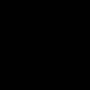 Meet your Posher, Geiseel